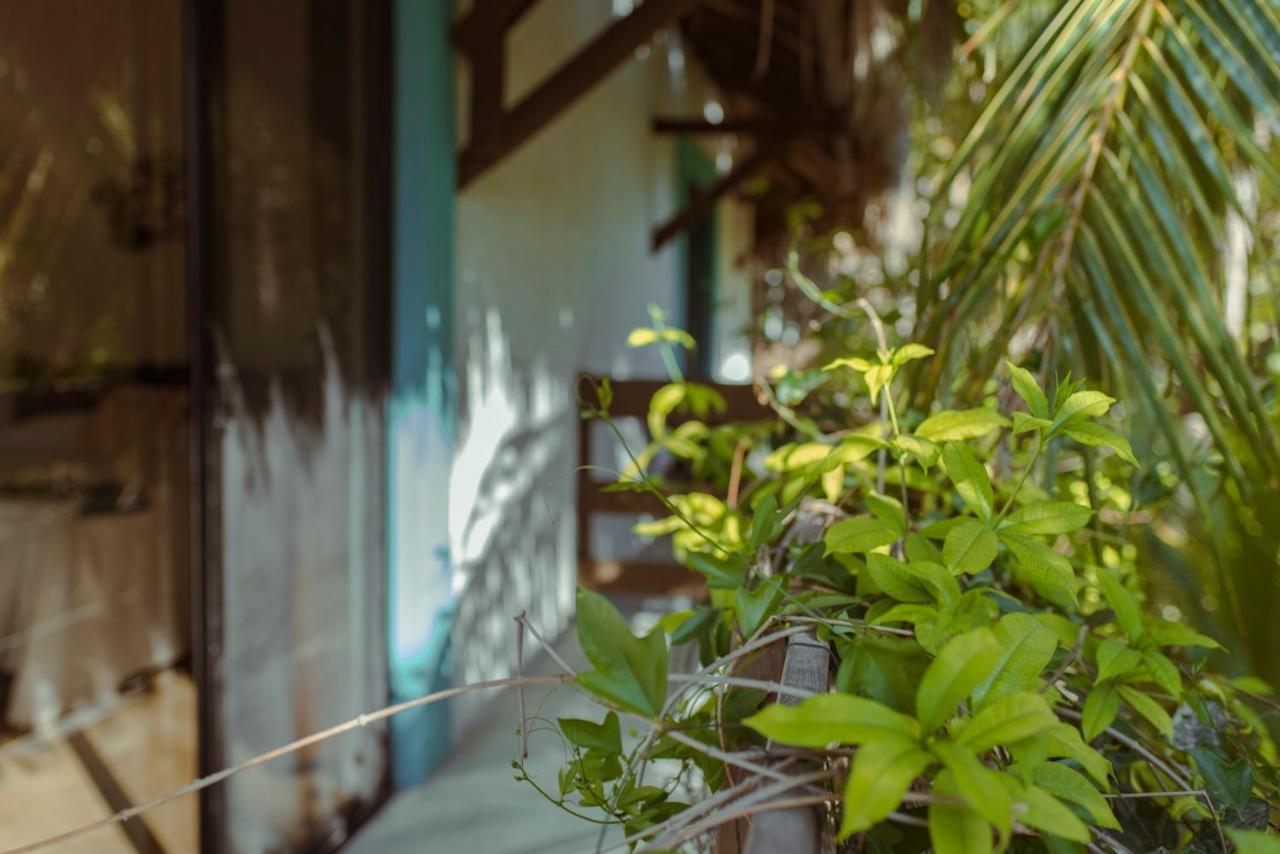 Hotel Villas Tiburon Isla Holbox Dış mekan fotoğraf