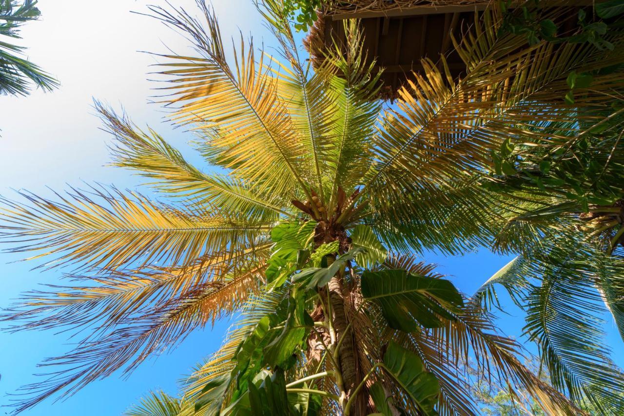 Hotel Villas Tiburon Isla Holbox Dış mekan fotoğraf